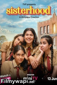 Sisterhood (2024) Hindi Web Series poster