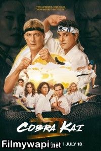 Cobra Kai (2024) Season 6 Hindi Web Series poster