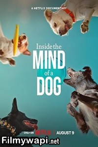 Inside The Mind Of A Dog (2024) Hollywood Hindi Dubbed poster