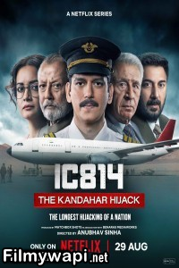 Ic 814   The Kandahar Hijack (2024) Hindi Web Series poster