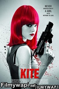 Kite (2014) Hindi Dubbed poster