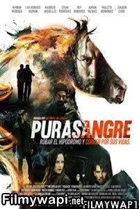 Purasangre (2016) Hindi Dubbed poster