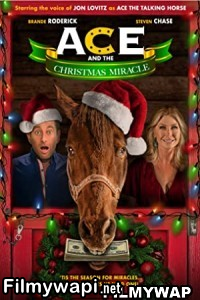 Ace And The Christmas (2022) English Movie poster