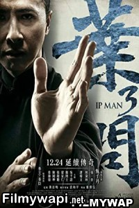 Ip Man 3 (2015) Hindi Dubbed poster