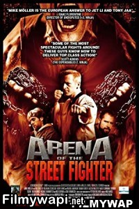 Arena Of The Street Fighter (2012) Hindi Dubbed poster