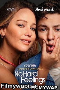 No Hard Feelings (2023) English Movie poster