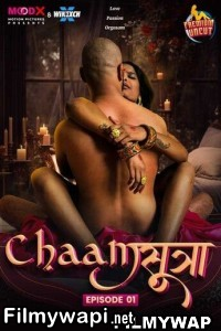 Chaam Sutra (2024) Moodx Hindi Unrated Web Series poster