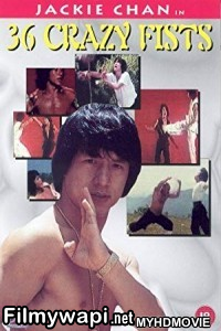 Jackie Chan And The 36 Crazy Fists (1977) Hindi Dubbed poster