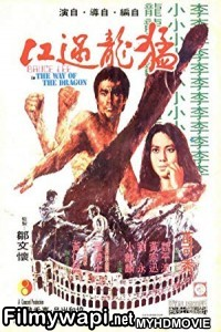 The Way Of The Dragon (1972) Hindi Dubbed poster