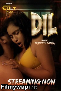 Dil (2024) Cultflix Hindi Unrated Web Series poster